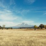 La importancia de la tasación en terrenos agrícolas: ¿cómo determinar el valor de tu propiedad rural?