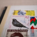 Sostenibilidad y valoración de propiedades rurales: descubre por qué los sellos ecológicos son esenciales para los inversores