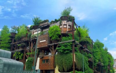 Beneficios económicos y medioambientales de optar por tasaciones verdes para tu empresa