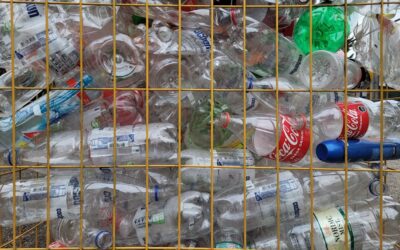 Innovando en tasaciones independientes: Descubre cómo la economía circular puede marcar la diferencia