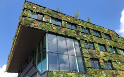 Cuida el planeta y tu bolsillo: Las ventajas fiscales de certificar una propiedad con un sello ecológico circular