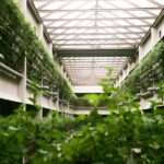 El impacto del sello Rebiore en el sector inmobiliario: valor verde y crecimiento sostenible