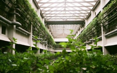El impacto del sello Rebiore en el sector inmobiliario: valor verde y crecimiento sostenible