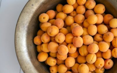 ¿Qué son las tasaciones holísticas y por qué son importantes para el bienestar inmobiliario?