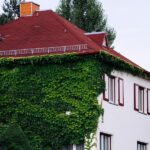 Certificaciones ecológicas: ¿un factor clave para aumentar el valor del metro cuadrado en bienes raíces dominicanos?