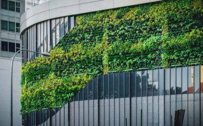 Invierte de manera consciente: Cómo identificar activos inmobiliarios con impacto ambiental positivo en Dubai