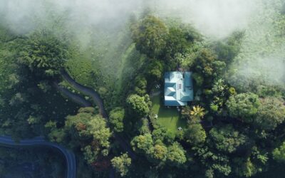 El valor ecológico: el factor clave en las tasaciones de propiedades de lujo