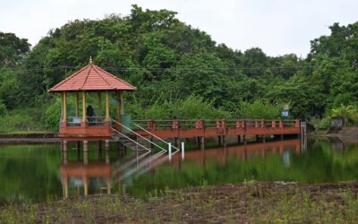 Consejos para elegir un resort sostenible en Asia: Guía práctica