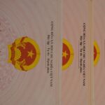 Mejorando la calidad y seguridad en hoteles: el papel de las certificaciones ISO en Latinoamérica