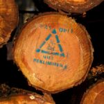 Certificaciones ecológicas internacionales: el camino hacia la excelencia para marcas premium en LATAM