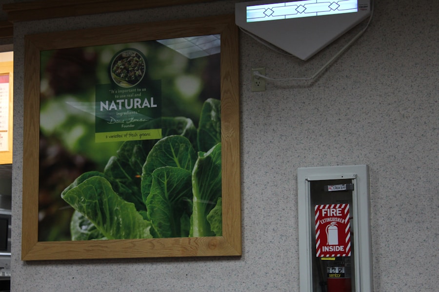 Cómo obtener y mantener sellos ecológicos internacionales para empresas de alto valor añadido