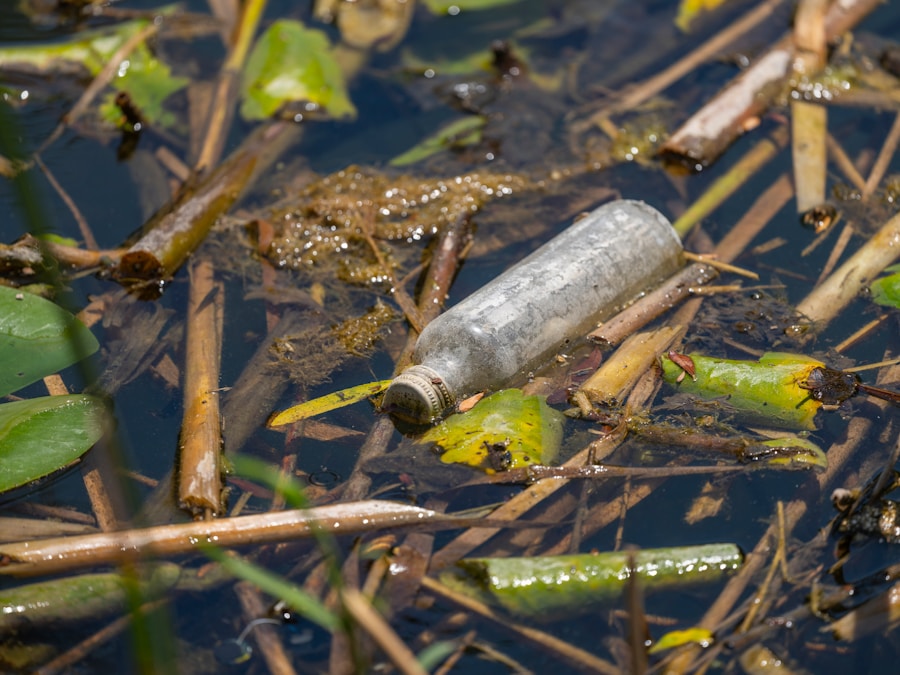 Pasos clave para obtener la certificación ISO 14001 en tu empresa de gestión ambiental avanzada