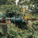 Beneficios de la certificación ISO 14001 para empresas comprometidas con el medio ambiente