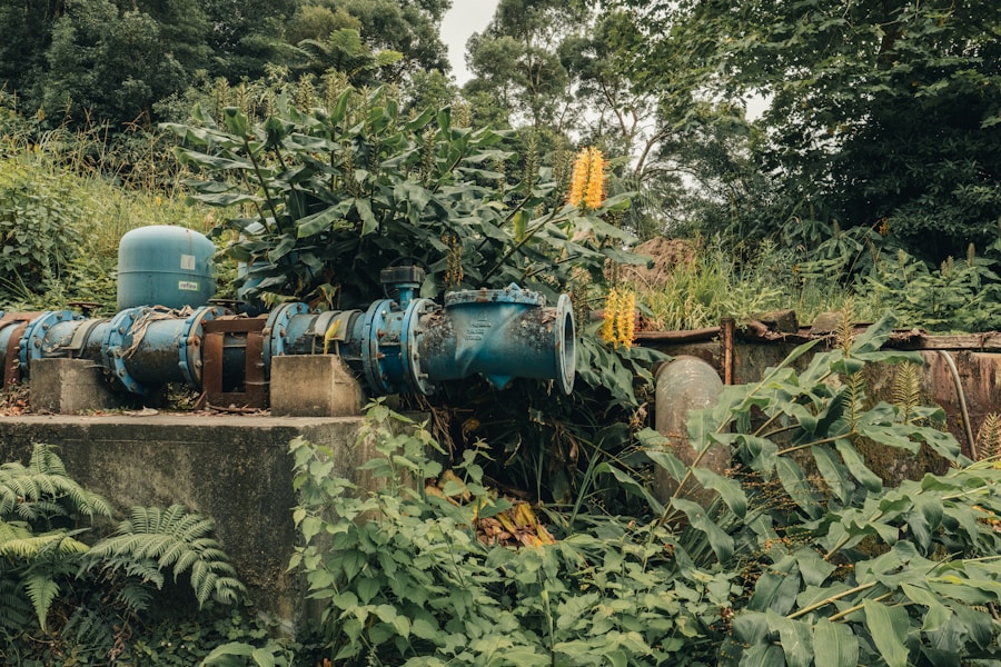 Beneficios de la certificación ISO 14001 para empresas comprometidas con el medio ambiente