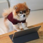 Los beneficios de una auditoría ISO profesional: calidad garantizada