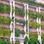 Sostenibilidad en el paraíso: Estrategias ESG que hacen brillar a los hoteles de Costa Rica