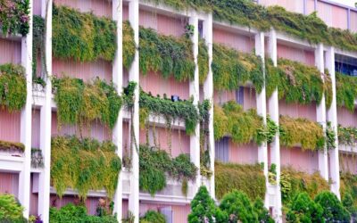 Sostenibilidad en el paraíso: Estrategias ESG que hacen brillar a los hoteles de Costa Rica