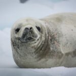 El impacto de Rebiore en la industria del lujo: un cambio hacia la sostenibilidad