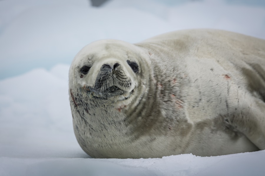 El impacto de Rebiore en la industria del lujo: un cambio hacia la sostenibilidad