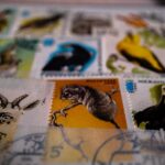 Innovación y sostenibilidad: Cómo el sello Rebiore está cambiando el juego en comparación con las certificaciones ISO